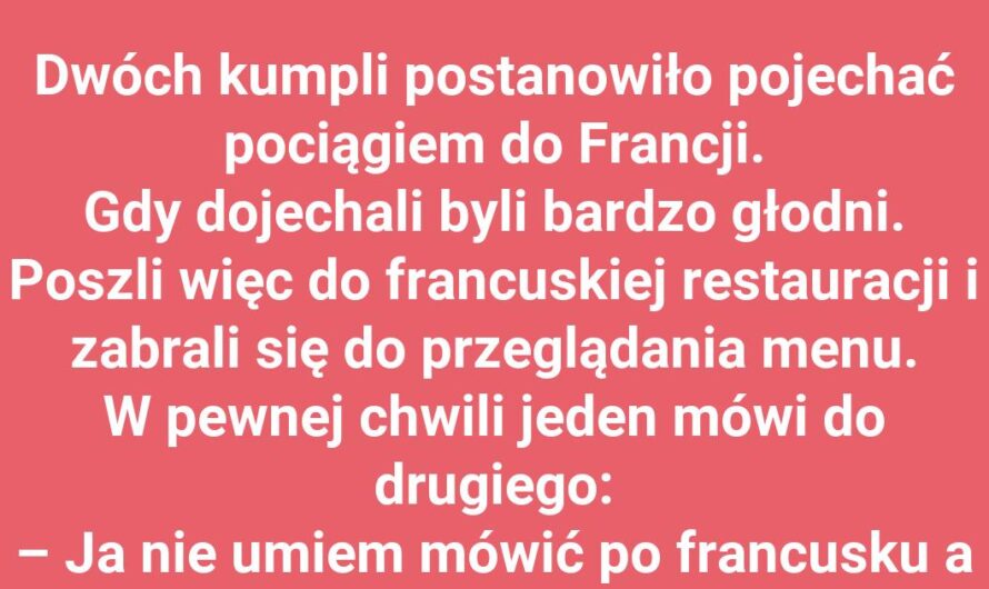 Kumple i ich językowa przygoda